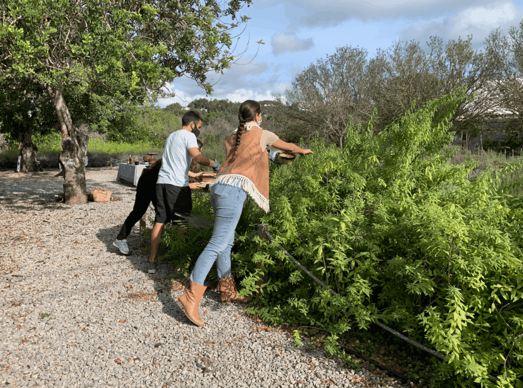 Taller de Hierbas Payesas