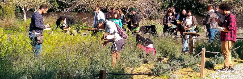 talleres de hierbas payesas