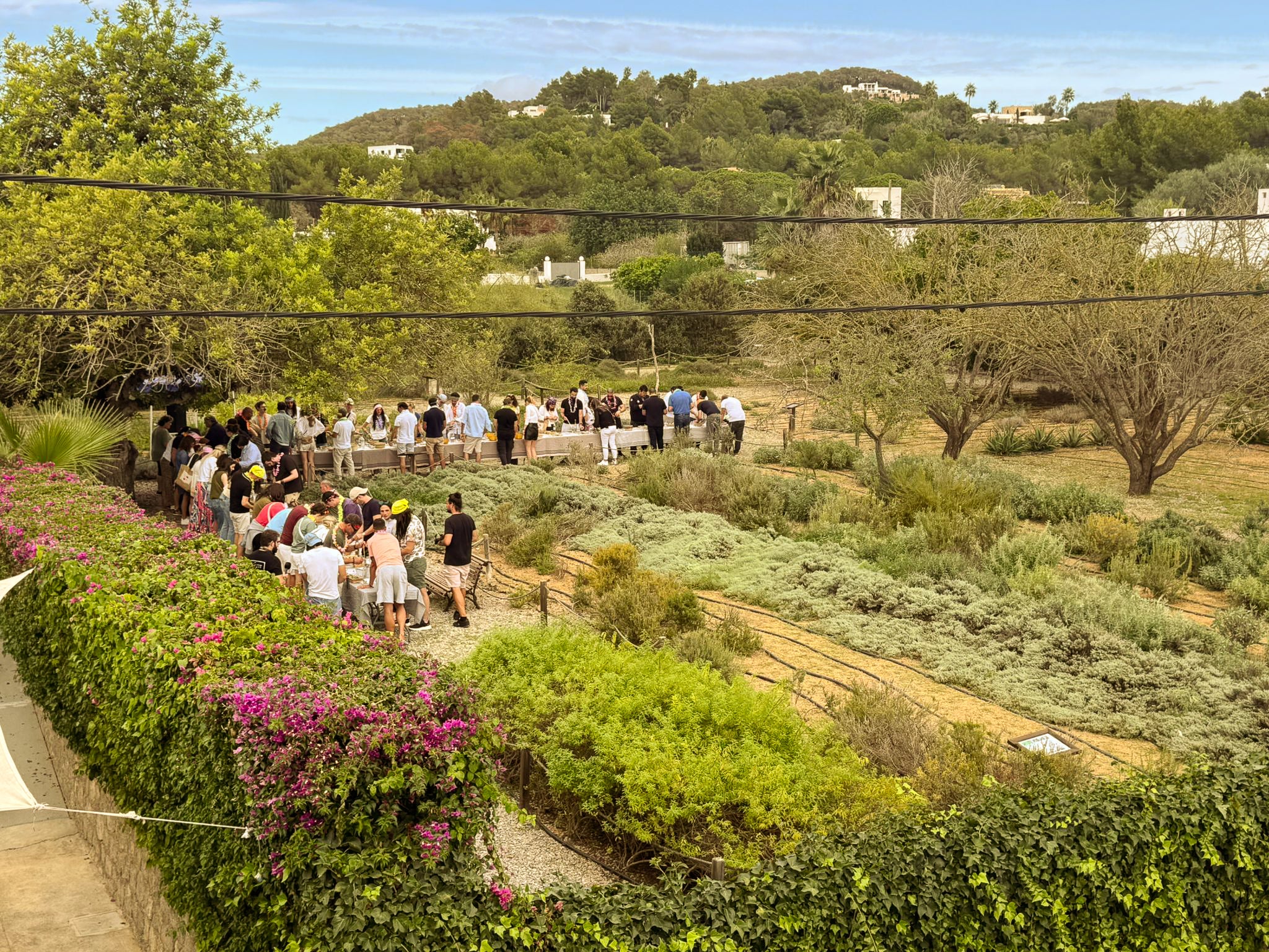 Jardín de hierbas ibicencas en bancales dentro de la finca Fluxà Ibiza